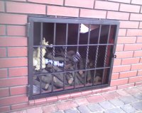 Dareks - bramy kute lublin